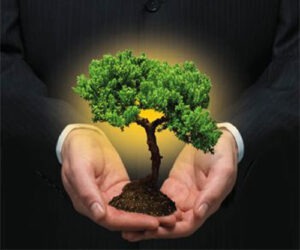 Sustentabilidade Urbana